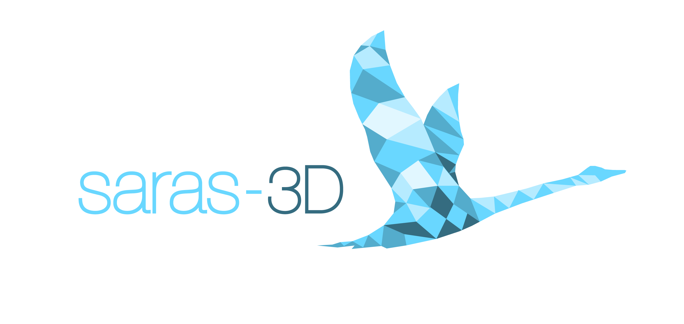 Saras-3D